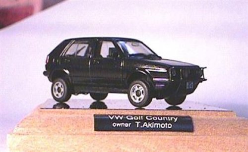 VW Golf Country im Modell